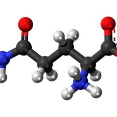 Glutamine for Bodybuilding, Appetite Suppressing & Sugar Cravings