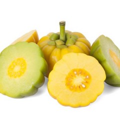 Garcinia Cambogia Review: As Seen On Dr. Oz